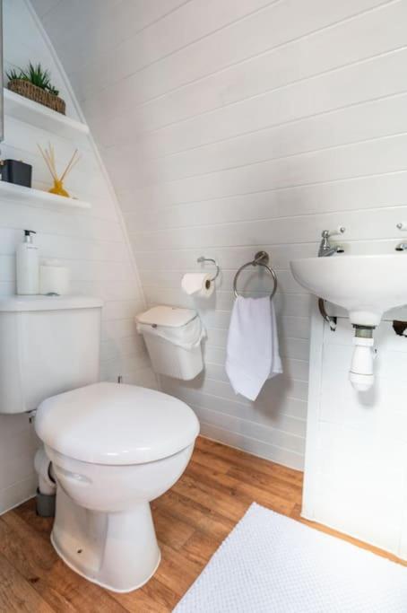 Robin Nest - Cosy Shepherd'S Hut Hideaway Callington ภายนอก รูปภาพ