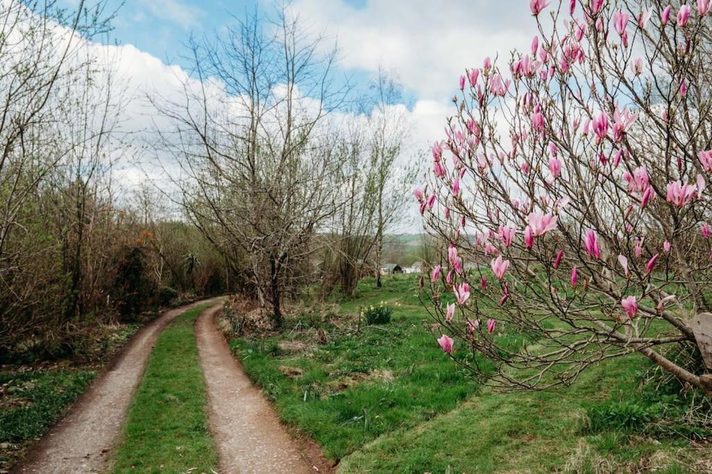 Robin Nest - Cosy Shepherd'S Hut Hideaway Callington ภายนอก รูปภาพ